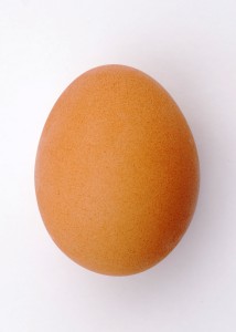 Egg