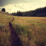 Trail Running and its Benefits