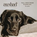 Awshad Ventures Into the Pet Care Domain, Launches Full Spectrum Vijaya Oil for Pets